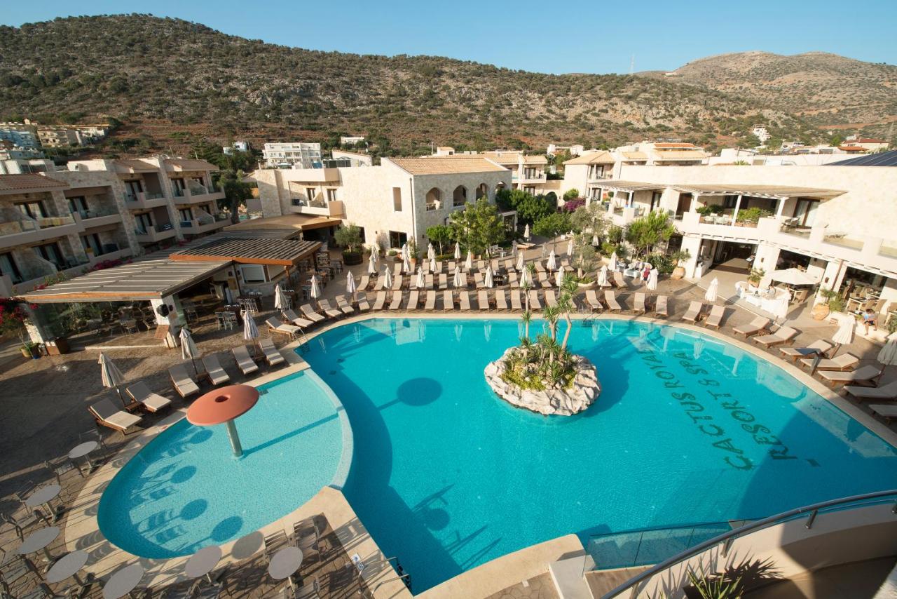 Cactus Royal | zwembad